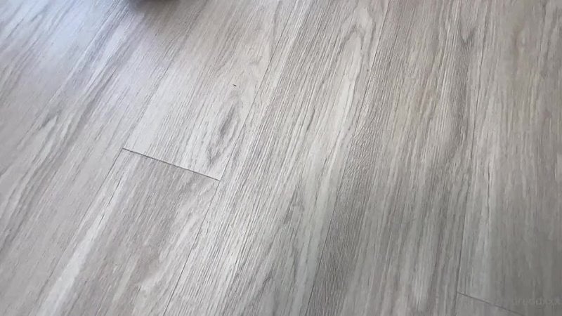 Lasirena69 connie perignon e dredd mp4