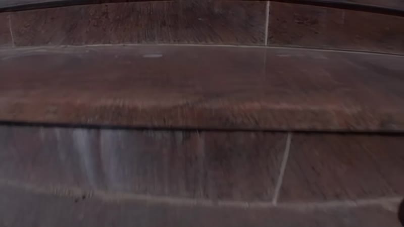 1 जेन डार्लिंग, जेसिका फियोरेंटीनो, कर्मा, क्रिस्टल डी बूर, लुसी ली, सैंड्रा रोमेन आदि की संख्या अधिक है 2 एआई उन्नत वीडियो