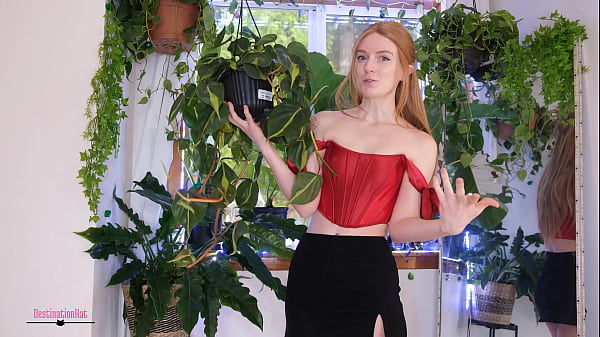 New Plants I Got Recently