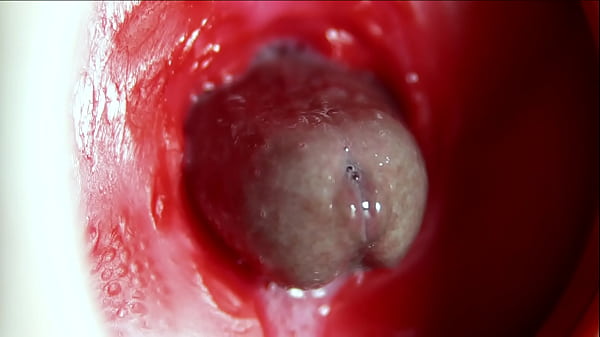 Cực khoái lớn bên trong hậu môn! Cực khoái rên rỉ tuyệt vời và rất nhiều tinh trùng!