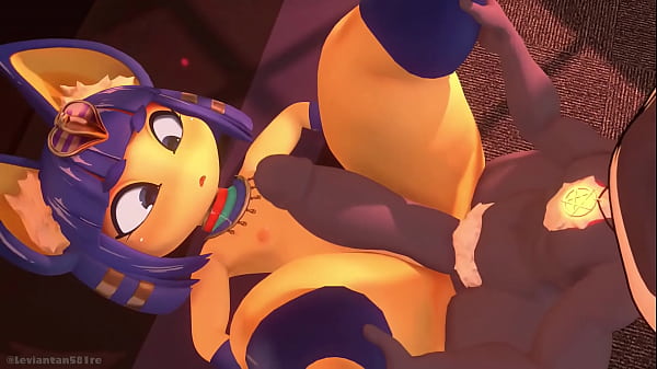 Lưỡng tính Mèo Ai Cập Comp