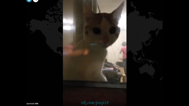 Подглядывает за попкой в трусиках своей девушки с балкона periscope перископ